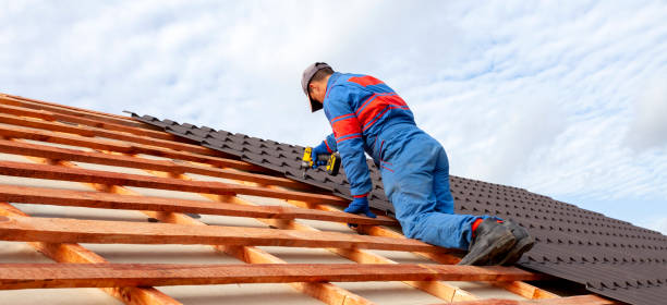 Best Gutter Installation and Repair  in Hodgkins, IL