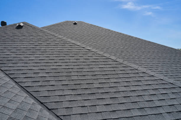 Best Roof Moss and Algae Removal  in Hodgkins, IL